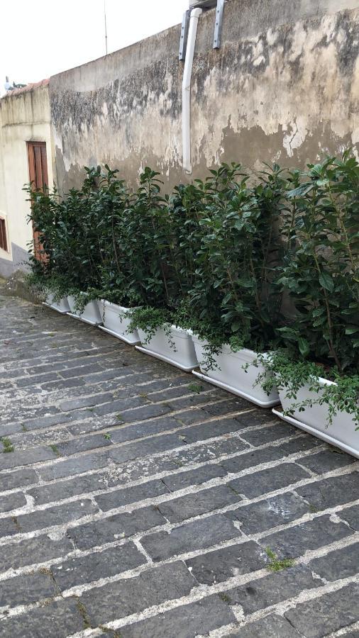 فيلا A Casa Da Anita بالاتسولو أكريدي المظهر الخارجي الصورة