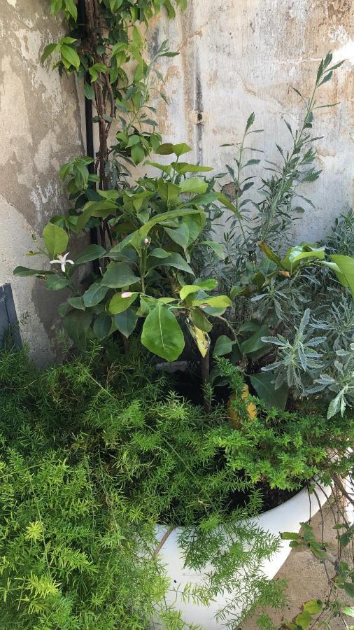 فيلا A Casa Da Anita بالاتسولو أكريدي المظهر الخارجي الصورة
